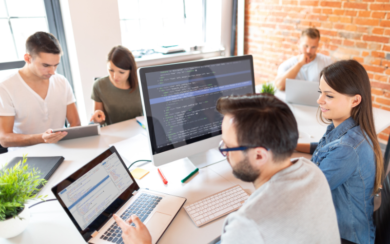 Web development